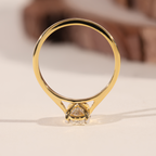 Engagement Ring In Muse Setting 31 - NCR0018